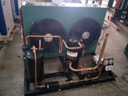 Instalasi Mudah Cold Storage Condensing Unit 380V / 50Hz Untuk Kamar Dingin Hotel