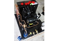 1.5HP Copeland Air Cooled Condensing Unit Pencairan Otomatis Untuk Tomat Cold Room