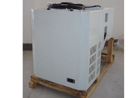 Cold Storage 3 Unit Pendingin Monoblock HP Untuk Wall Mount Freezer Terpasang