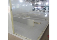 100mm Polyurethane Insulation Panel, 3 Layers Cold Room Sandwich Panel