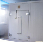 Manual Double Swing Insulated Walk Di Cooler Sliding Door Untuk Ruang Penyimpanan Dingin