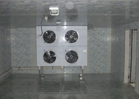 Suku Cadang Refrigerant Evaporator Jenis Kering Khusus Untuk Cold Room / Cold Storage