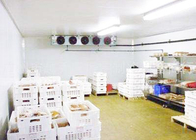 Copeland Compressor Cold Storage Room Untuk Pengolahan Seafood Daging 1 Tahun Garansi