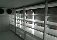 Back Loading Display Berjalan Di Ruang Freezer, Lampu Led Ruang Cold Industrial