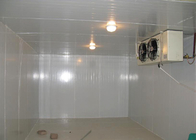Split Unit Walk In Freezer Room Dengan 2hp Low Temp Ukuran 2300l * 1600w * 2400h