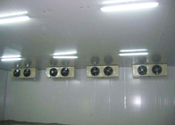 Fresh Keeping Commercial Freezer Room Air Cooling PU Panel Dengan Intensitas Tinggi